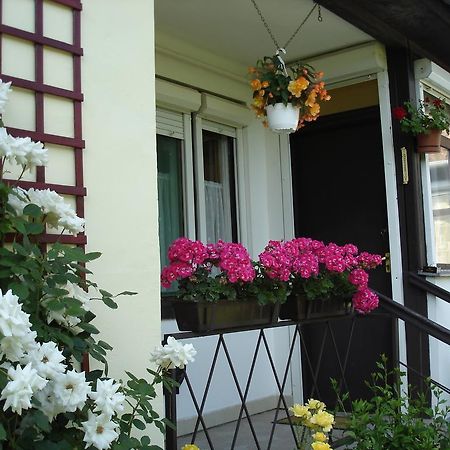 Liza Apartman Jula Cameră foto