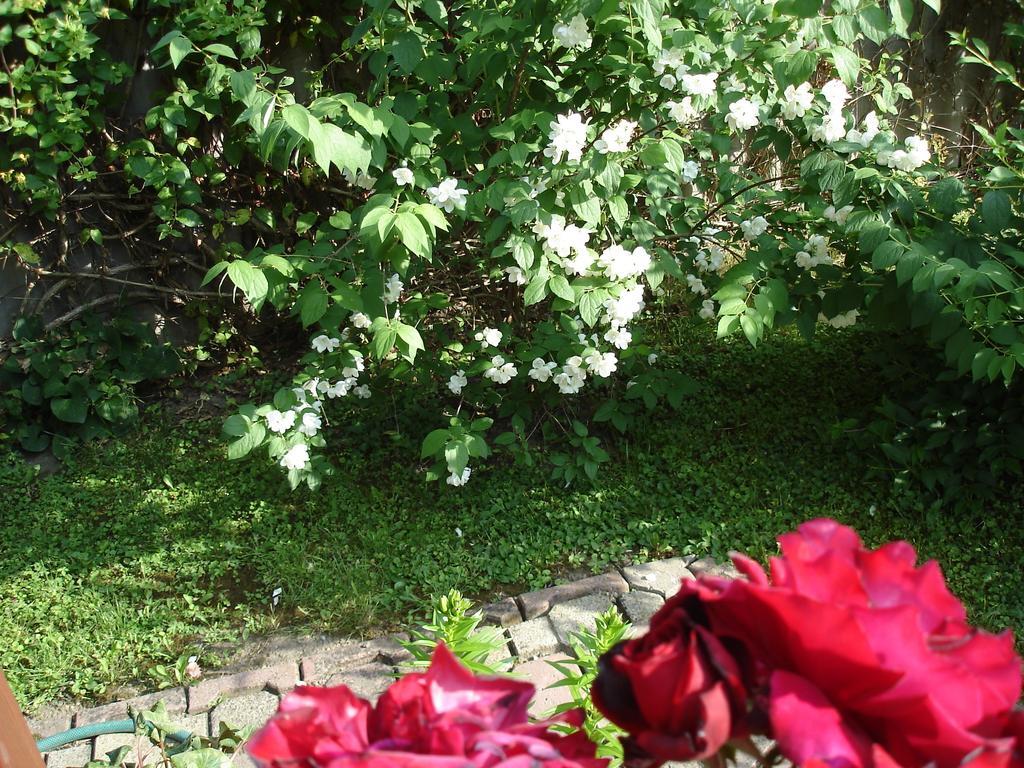 Liza Apartman Jula Cameră foto