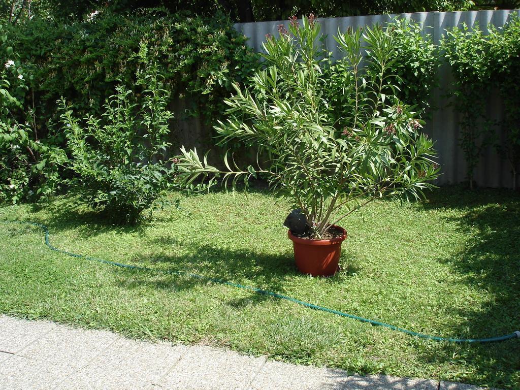 Liza Apartman Jula Cameră foto